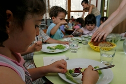 Des repas à faible coût carbone dans les restaurants  scolaires de Strasbourg