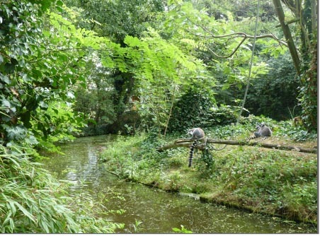 Le Zoo des Sables d’Olonne (85), premier zoo privé français  certifié ISO 14001