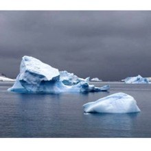 La banquise arctique est une peau de chagrin