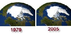 comparatif 1979-2005 de l'étendue de la calotte polaire