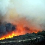 Incendies en Grèce : le bilan s’alourdit