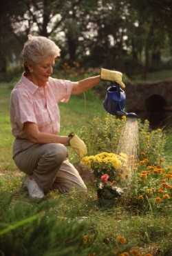 Enquête CSA « les jardiniers amateurs, acteurs-actifs du développement durable »