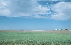 Libérer l’agriculture de sa dépendance au pétrole