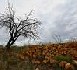 Alerte 'orange' aux orages sur cinq départements du Sud-Ouest