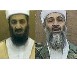 La barbe de Ben Laden désarçonne 